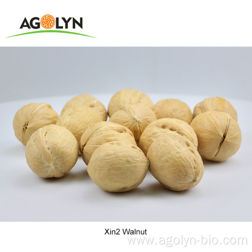 new crop wholesale walnuts in shell for sale